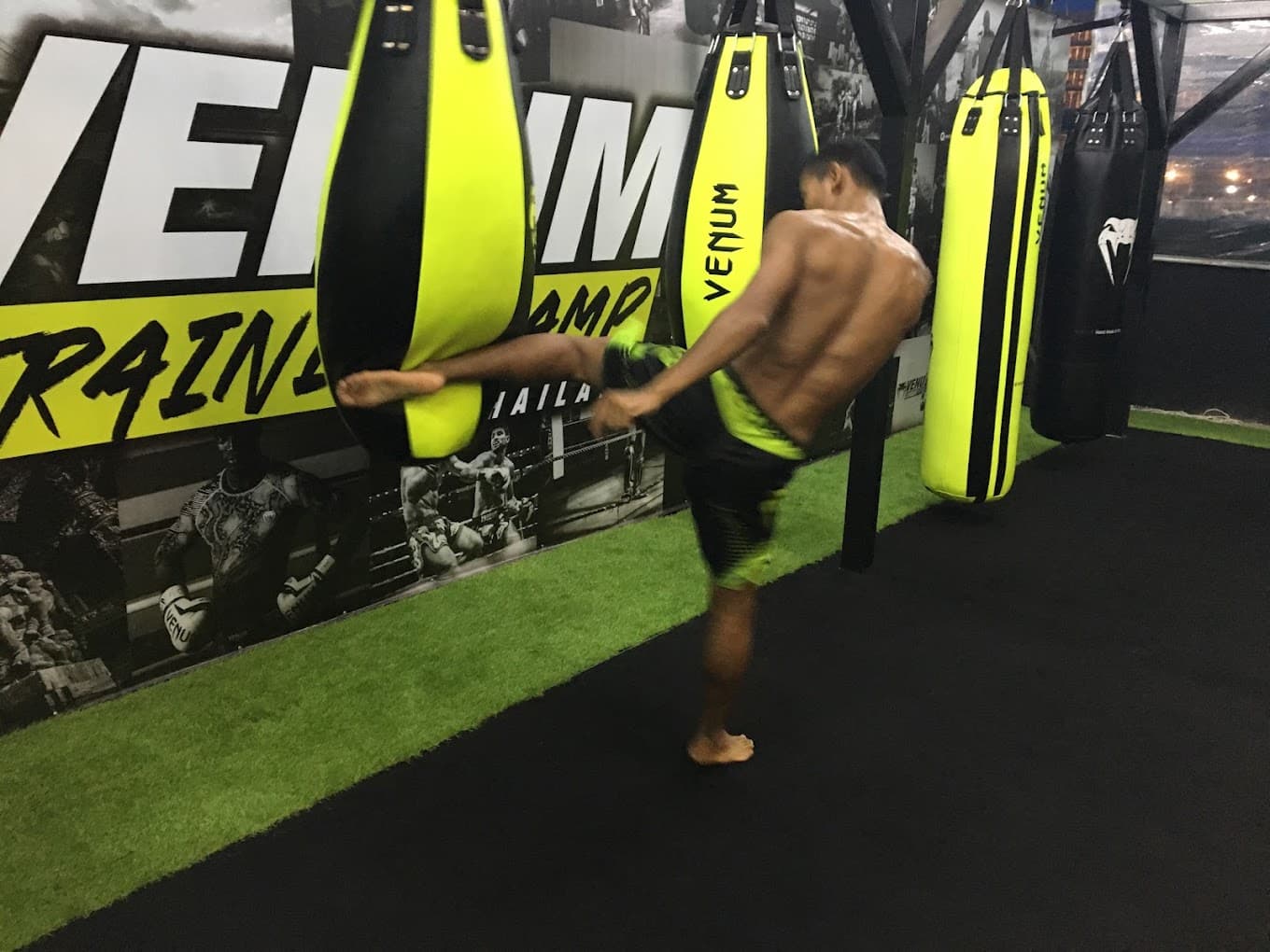 Venum Training Camp 3