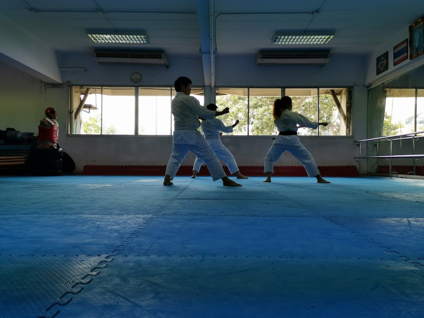 Executive Martial Arts Centre 2