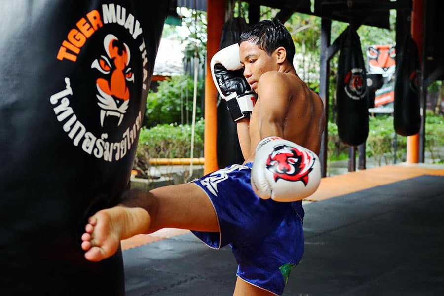 Tiger Muay Thai 2